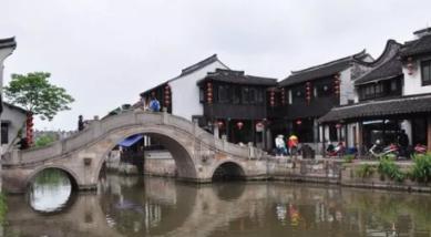 细胞分裂4